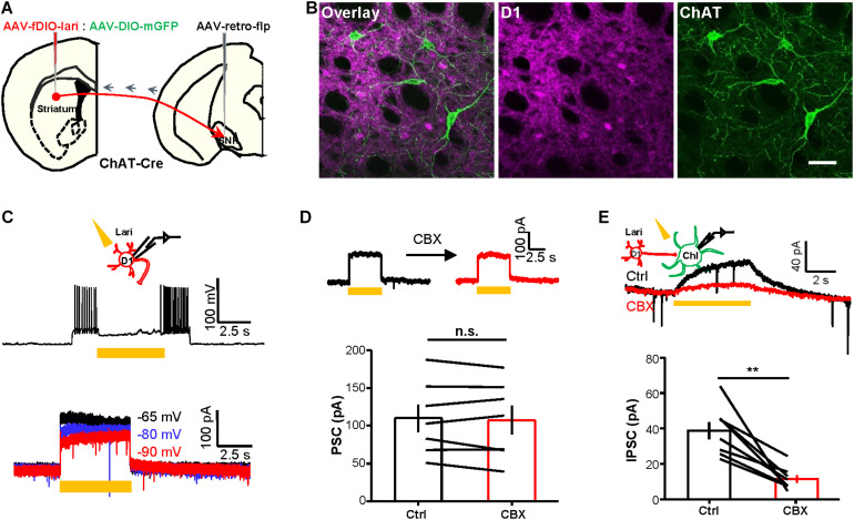 FIGURE 4