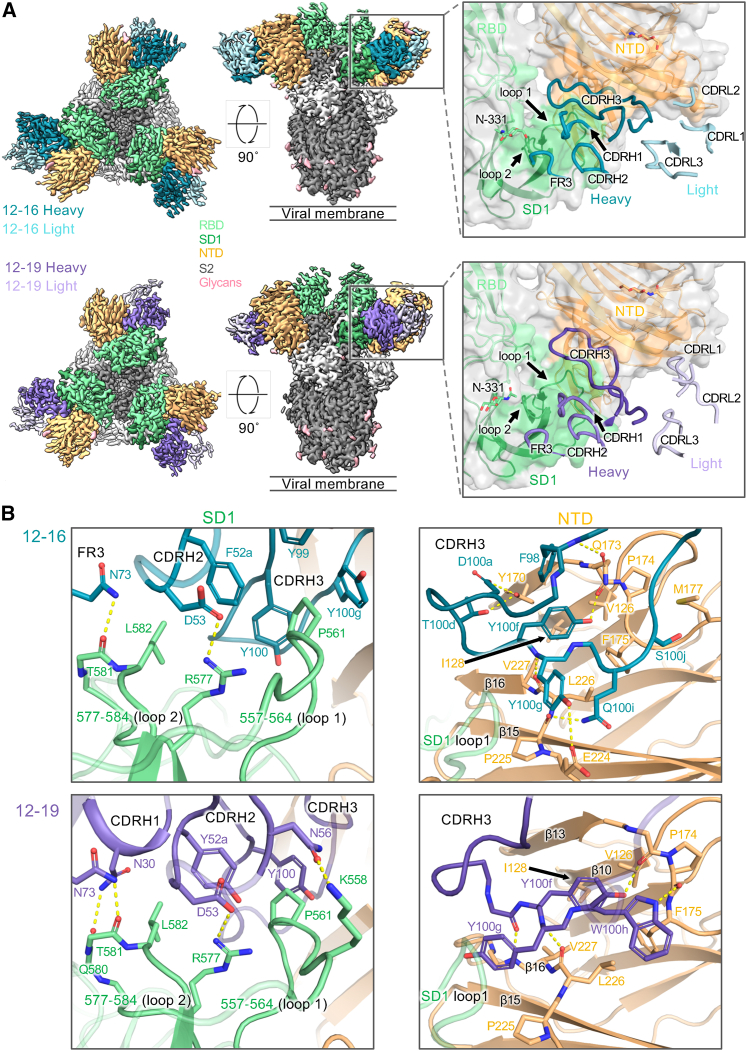 Figure 2