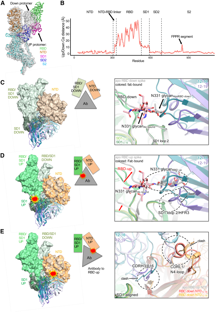 Figure 3