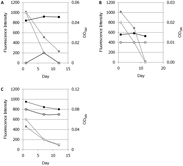 Figure 12