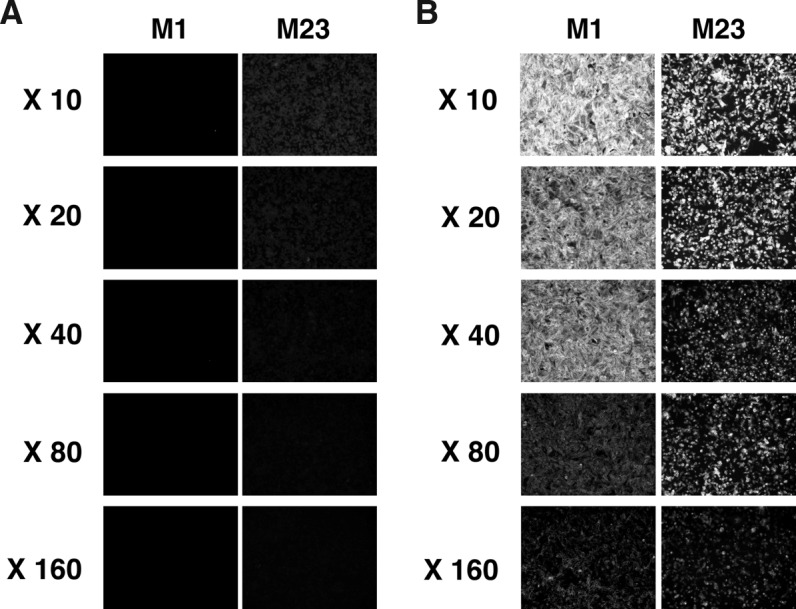 FIG. 3.