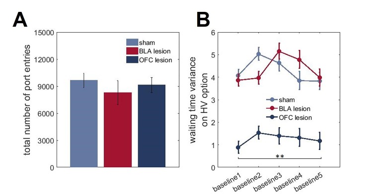 Figure 5—figure supplement 1.