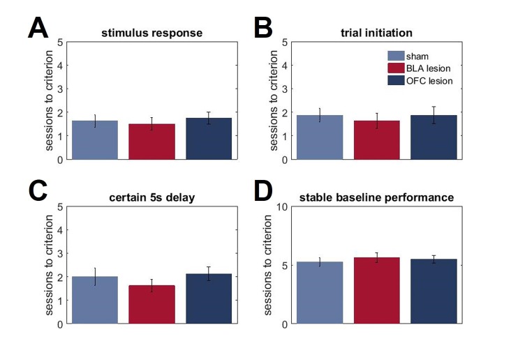 Figure 4—figure supplement 2.