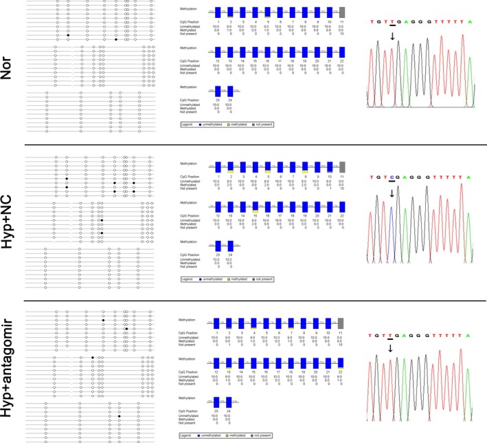 FIGURE 6