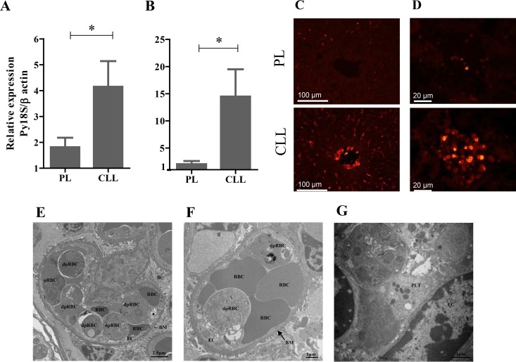 FIG 3