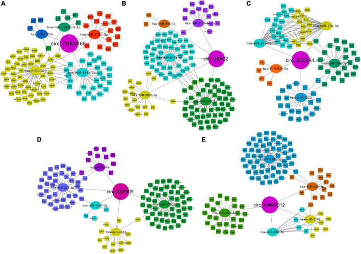 FIGURE 7