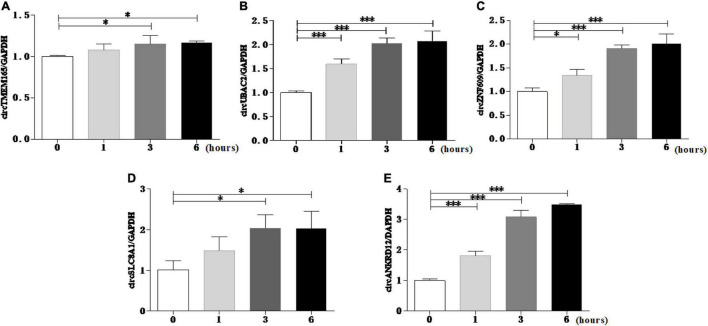 FIGURE 4