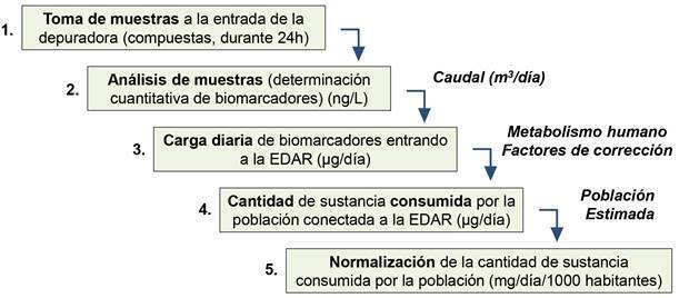 Figura 1