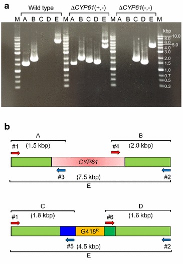 Fig. 3