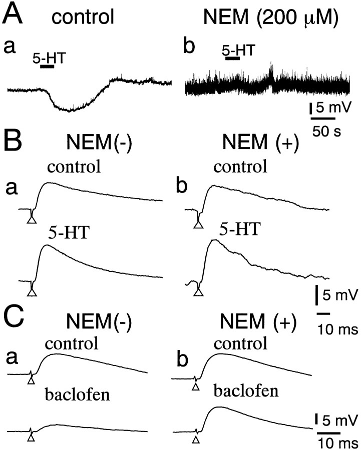 Fig. 9.