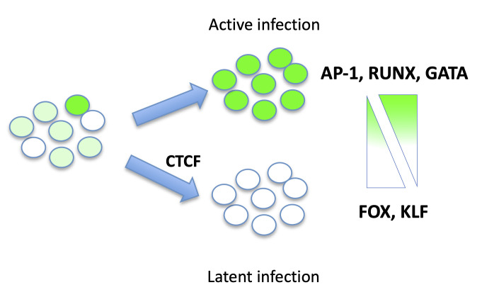 Fig 8