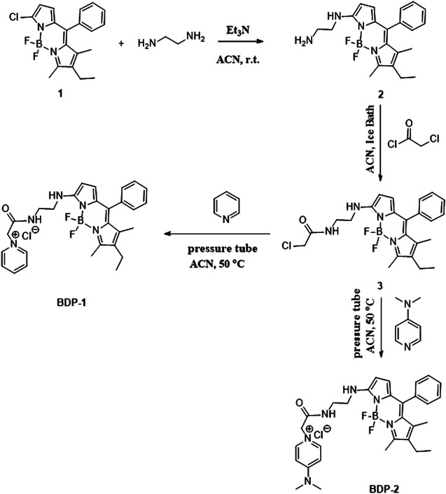 SCHEME 2