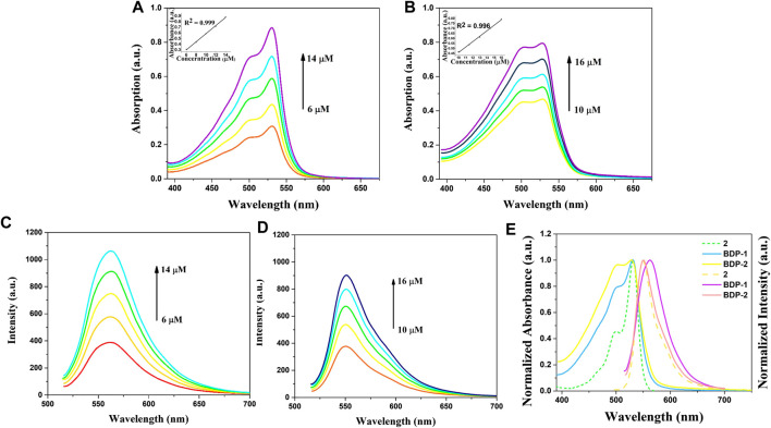 FIGURE 1