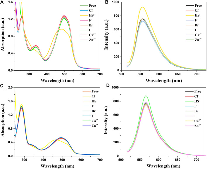 FIGURE 2