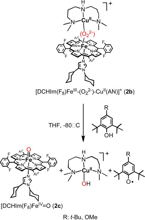 Scheme 6