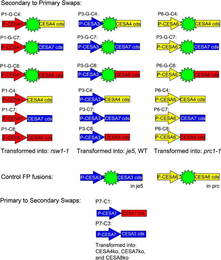 Figure 3.