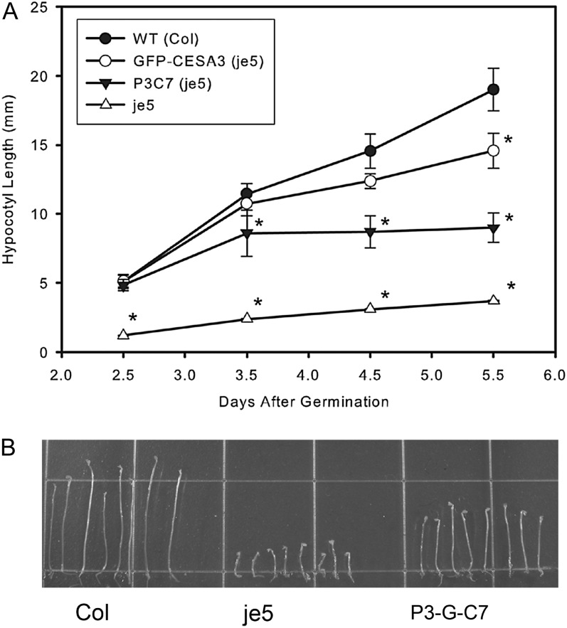 Figure 4.