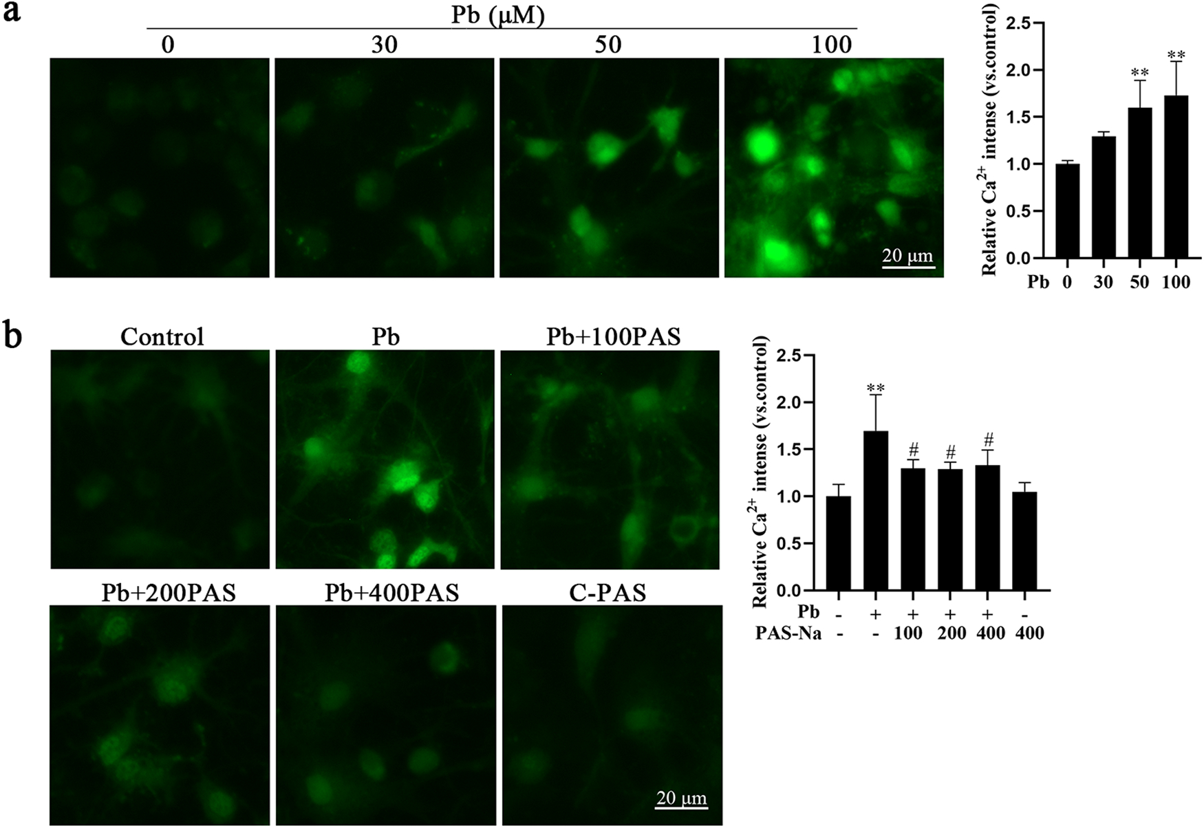 Fig. 4.