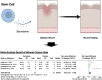 Image, graphical abstract