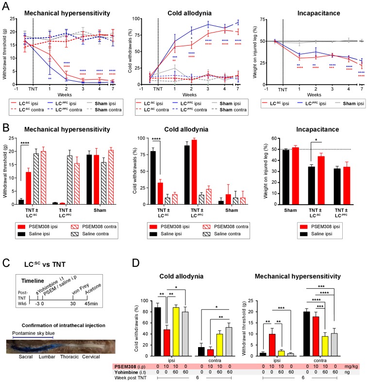 Figure 5—figure supplement 1.