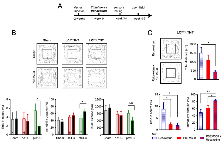 Figure 7—figure supplement 1.