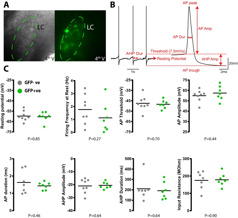 Figure 1—figure supplement 2.