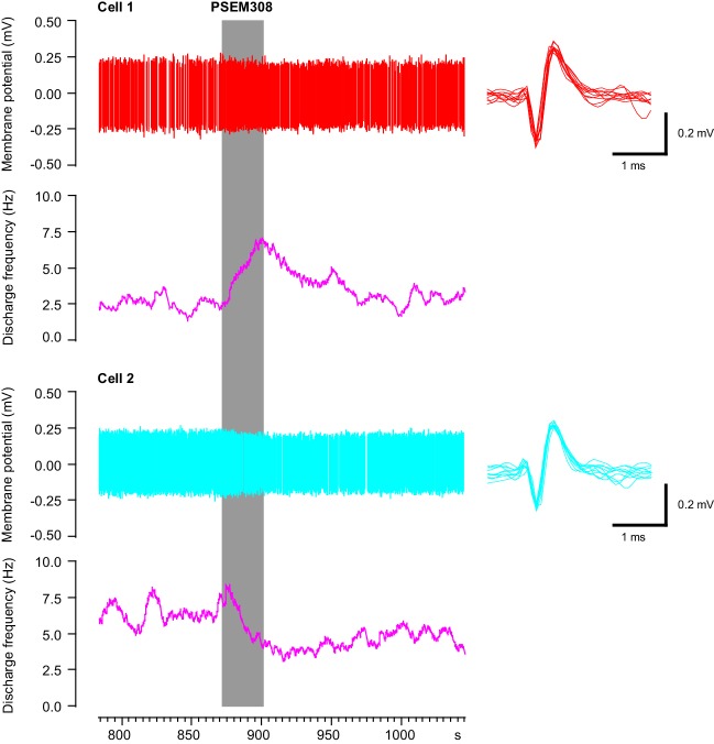 Figure 1—figure supplement 3.