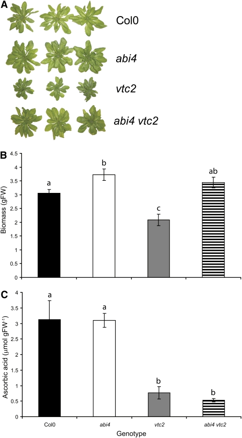 Figure 5.