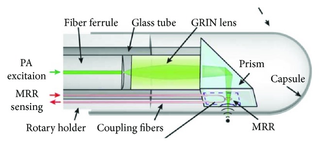 Figure 11