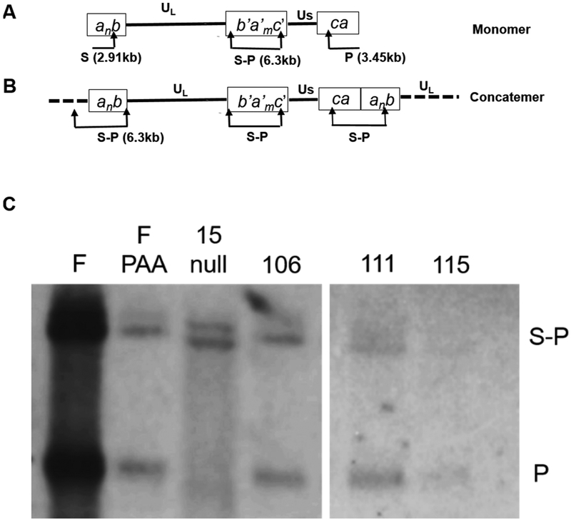 Fig. 5.