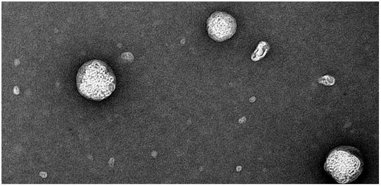 Figure 15
