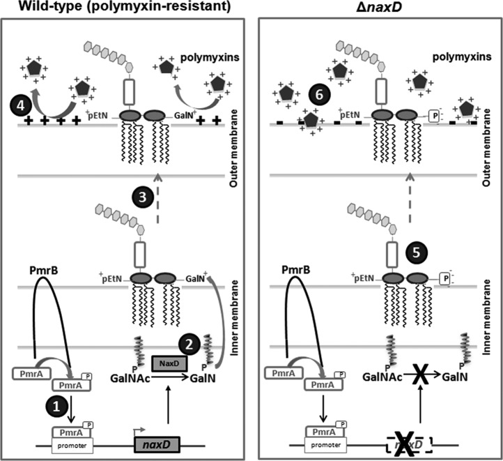 FIG 4