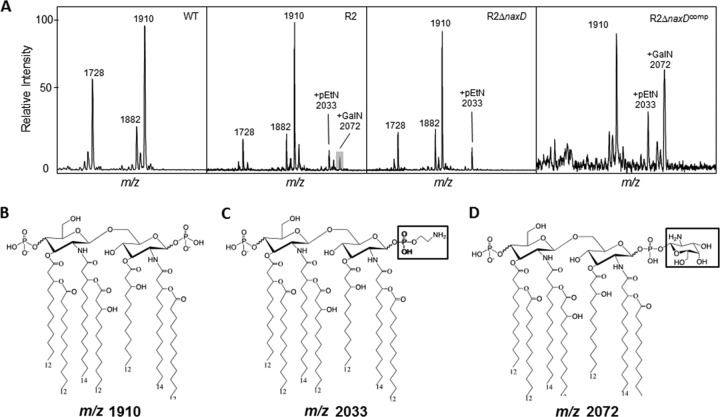 FIG 2