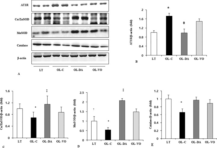 Fig 4