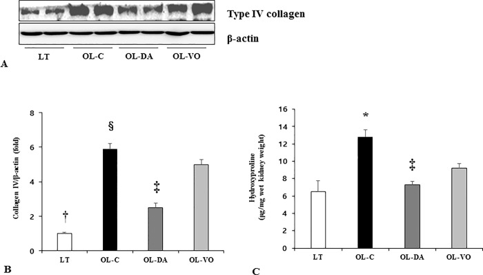 Fig 8