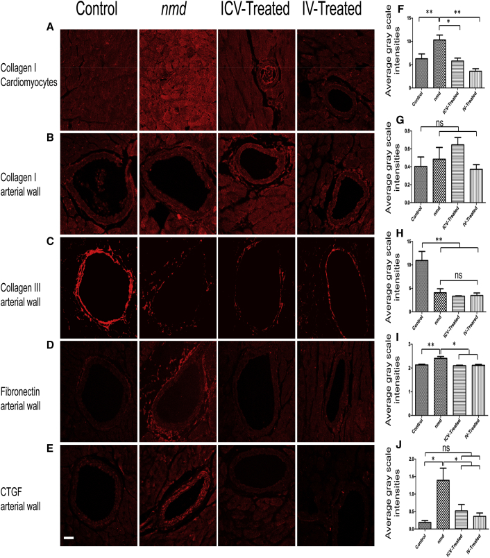 Figure 6