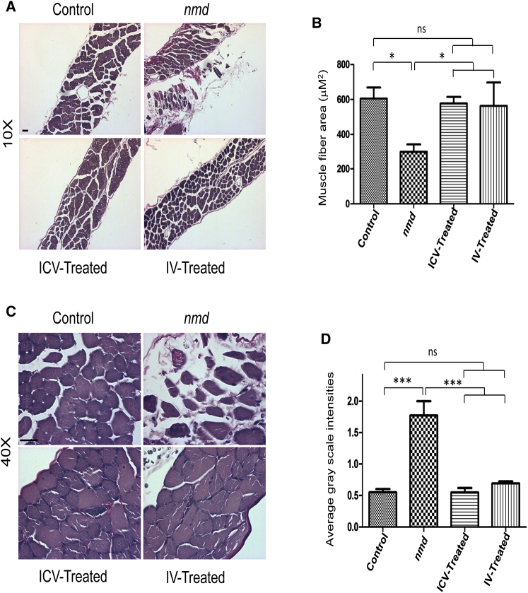 Figure 4