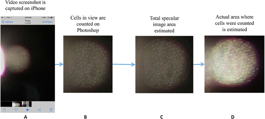 Figure 2.