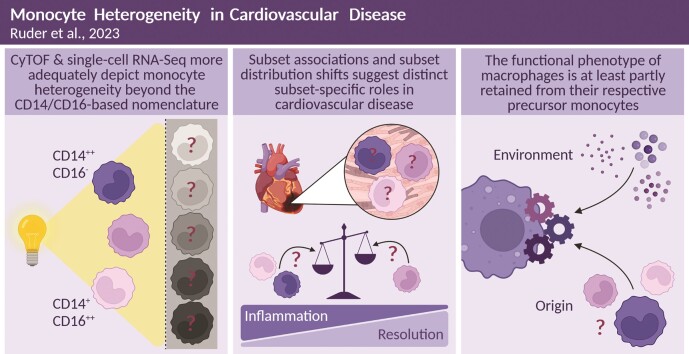 Graphical Abstract