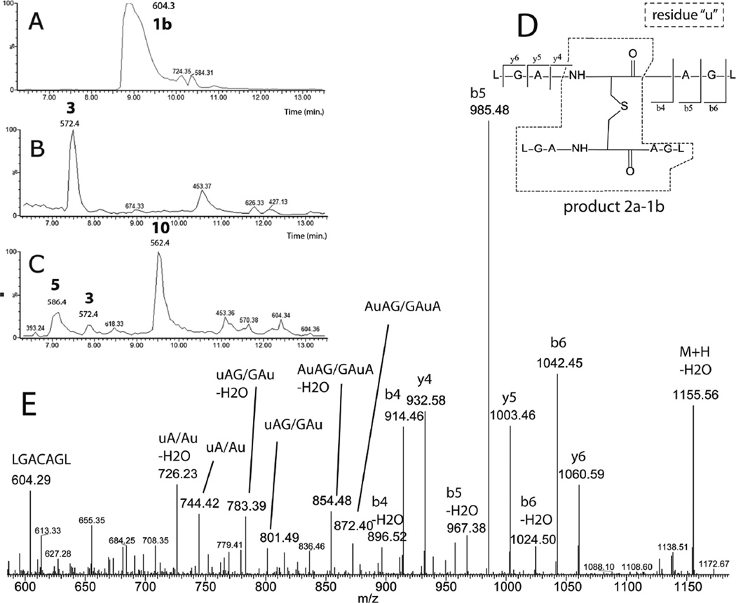 Fig. 9