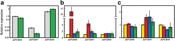 Fig. 3