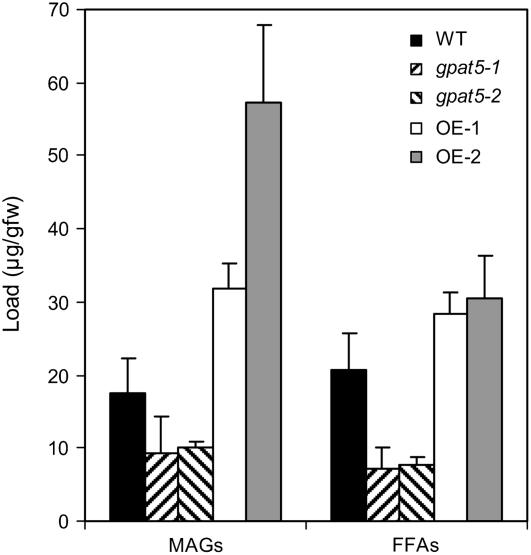 Figure 4.