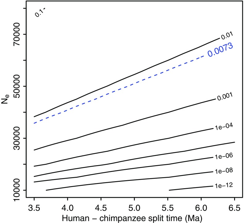 FIG. 2.—