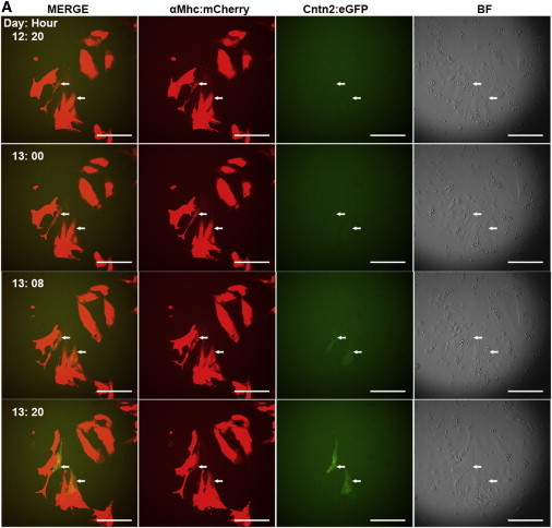 Figure 7