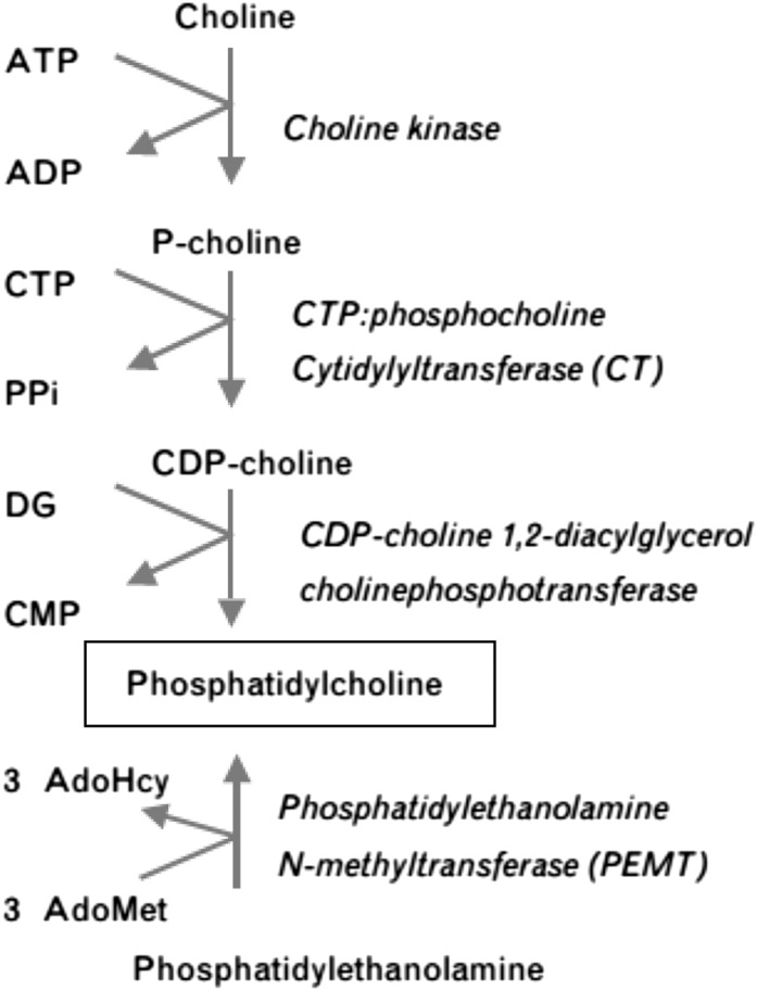 FIGURE 3