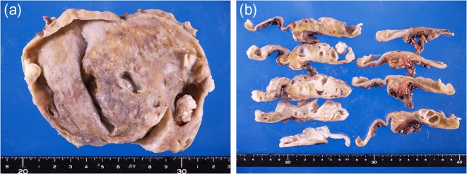 Figure 4: