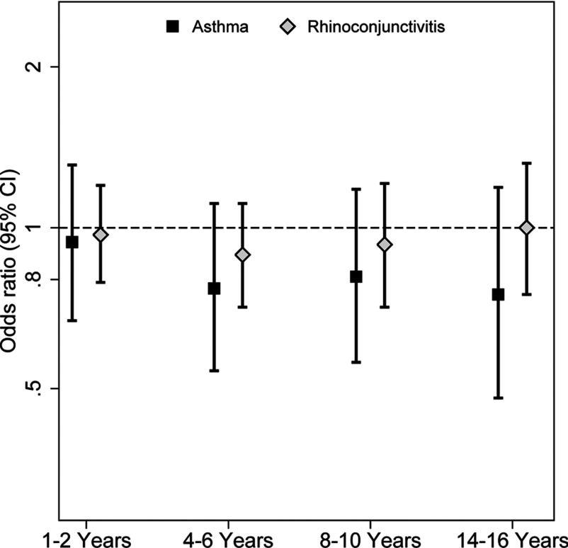 Graph plotting odds ratio with 95 percent confidence intervals (y-axis) obtained for children aged 1 to 2 years, 4 to 6 years, 8 to 10 years, and 14 to 16 years (x-axis) to examine the association of SHS exposure with asthma and rhinoconjunctivitis.