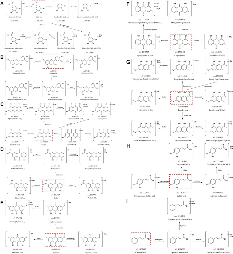 FIGURE 4