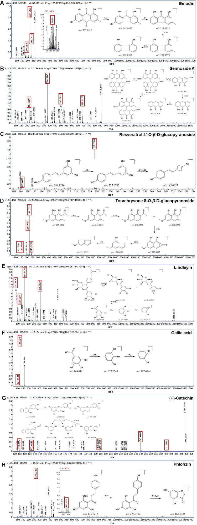 FIGURE 3