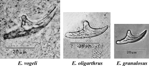 FIG. 23.